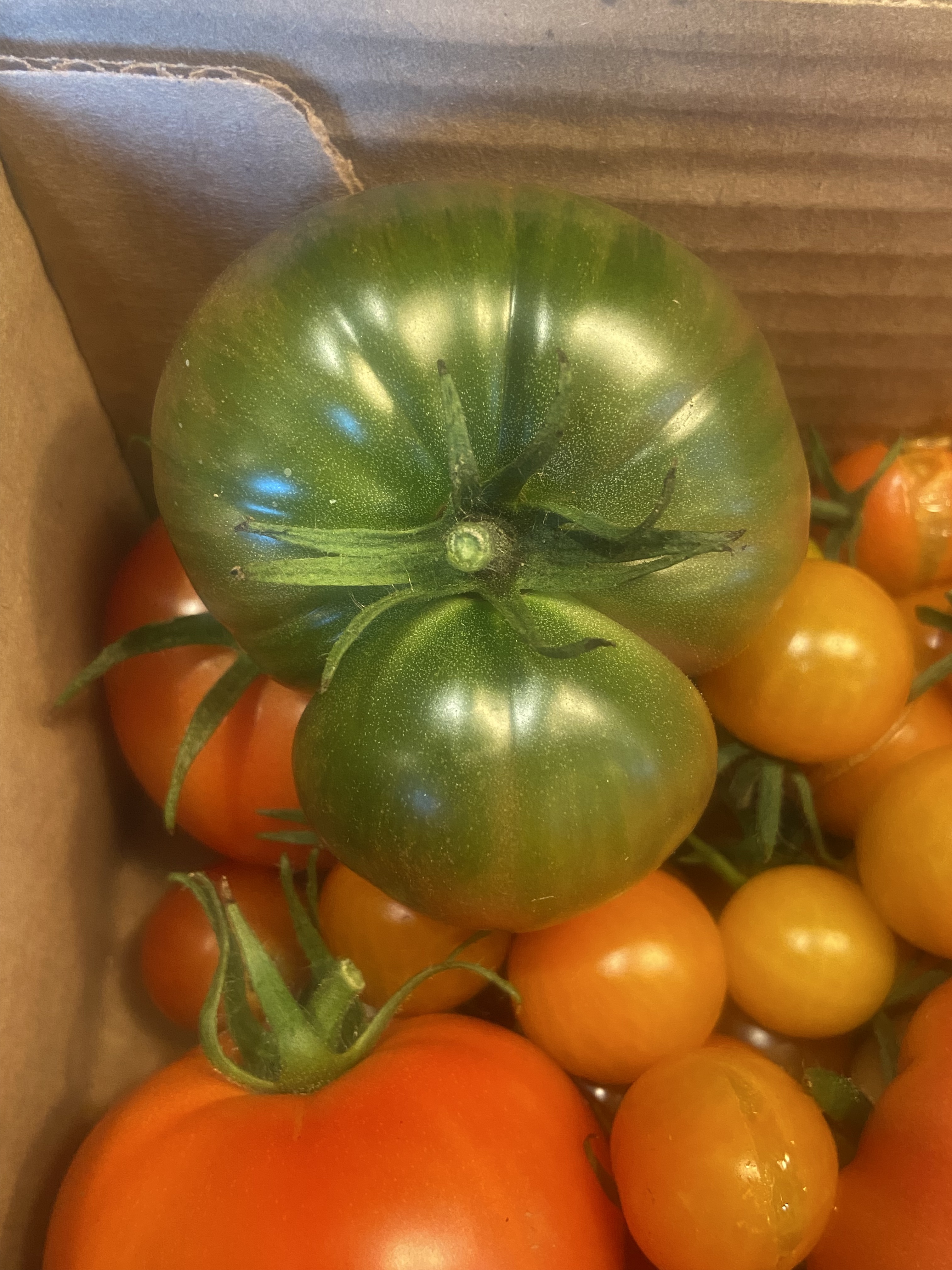 heirloom tomato